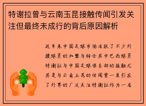 特谢拉曾与云南玉昆接触传闻引发关注但最终未成行的背后原因解析